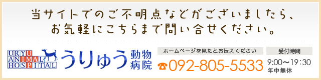 うりゅう動物病院　092-805-5533