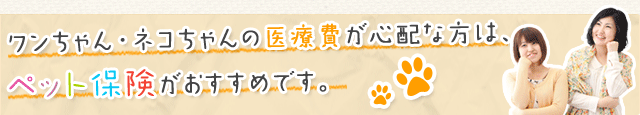 ワンちゃん・ネコちゃんの医療費が心配な方は、 ペット保険がおすすめです。