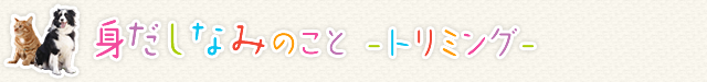 身だしなみのこと　－トリミング－